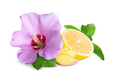 Beautiful hibiscus flower, juicy ripe lemon, ginger and mint on white background