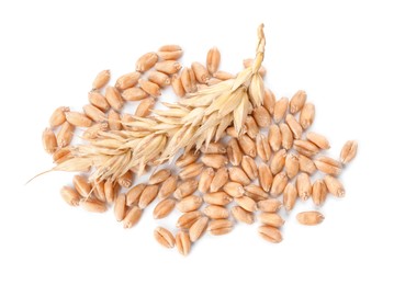 Pile of wheat grains and spike on white background, top view