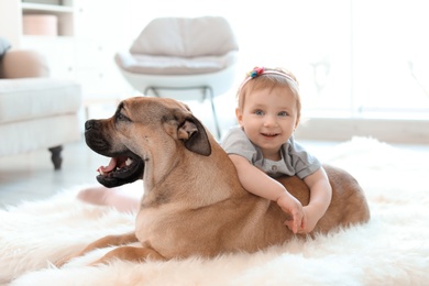 Cute little child with dog at home