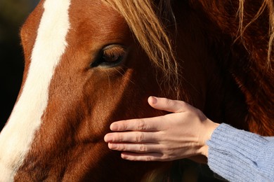 Photo of Woman petting beautiful horse outdoors on sunny day, closeup