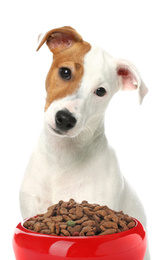 Cute Jack Russel Terrier and feeding bowl with dog food on white background