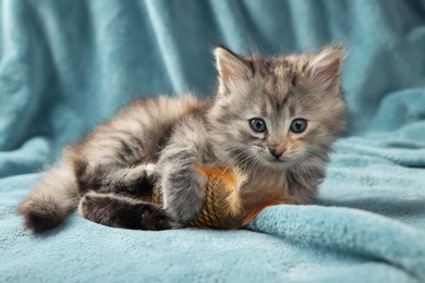 Cute kitten with toy on light blue blanket