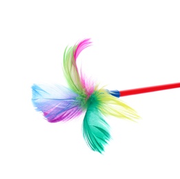 Feather wand for cat on white background. Pet toys