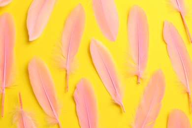 Beautiful pink feathers on yellow background, flat lay