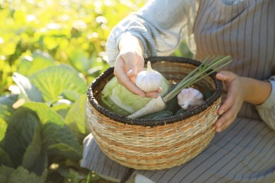 Woman harvesting different fresh ripe vegetables on farm, closeup