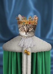 Cute cat dressed like royal person against blue background