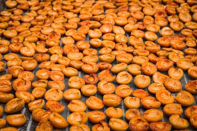 Many halved apricots on metal drying rack
