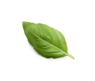 Aromatic green basil leaf isolated on white. Fresh herb