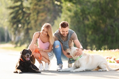 Cute labrador retrievers with owners outdoors on sunny day