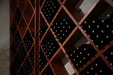 Many bottles of wine on shelves in cellar