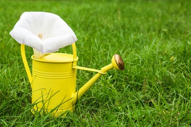 Photo of Watering can with beautiful datura flower on green grass outdoors, space for text