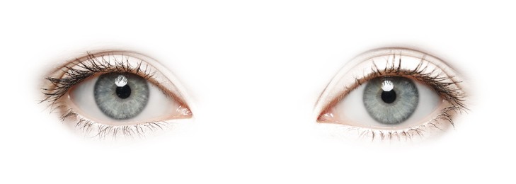 Image of Beautiful human eyes on white background. Banner design