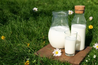 Photo of Glassware with fresh milk on green grass outdoors. Space for text