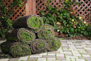 Photo of Rolls of sod with grass on backyard, space for text