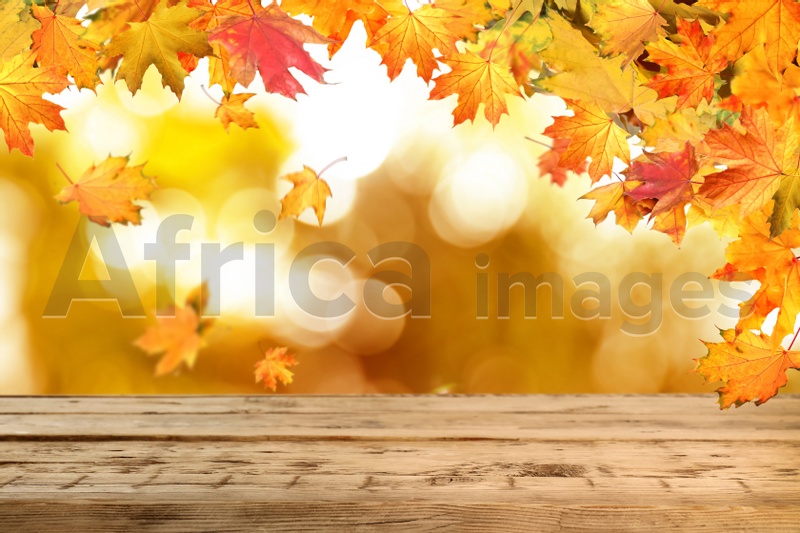 Image of Empty wooden surface and beautiful autumn leaves on blurred background 