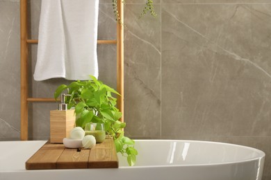 White tub with plant, soap dispenser and bath bombs in bathroom, space for text. Interior design