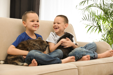 Little boys with Akita inu puppies on sofa at home. Friendly dogs