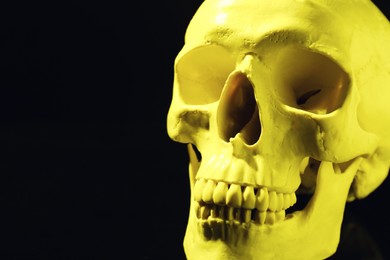 Photo of Yellow human skull on black background, closeup. Space for text