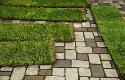 Unrolled grass sods on pavement in backyard