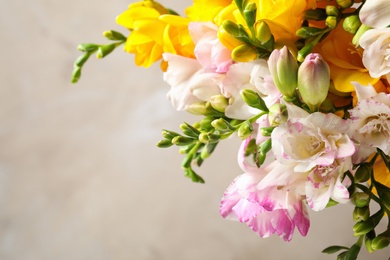 Beautiful blooming freesias against grey background, closeup. Space for text