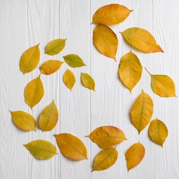 Photo of Autumn leaves on white wooden table, flat lay