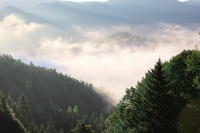 Picturesque view of fog in mountains on sunny day