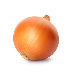 Photo of One fresh unpeeled onion isolated on white