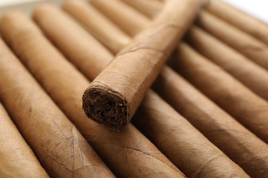 Closeup view of many cigars. Tobacco smoking