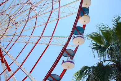 Beautiful large Ferris wheel and palm tree against blue sky, low angle view