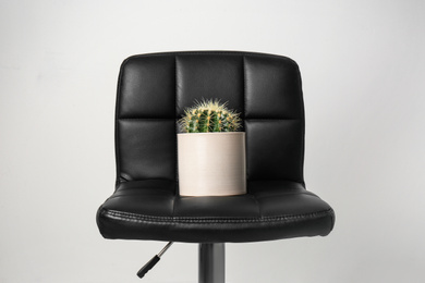 Chair with cactus on white background. Hemorrhoids concept