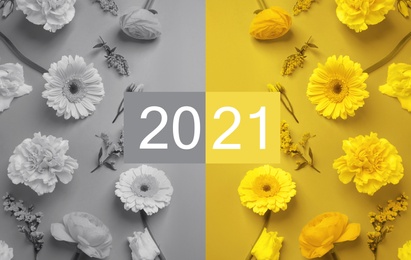 Color of the year 2021. Beautiful flowers, flat lay