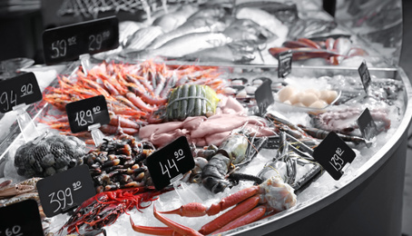 Different types of fresh seafood on ice in supermarket