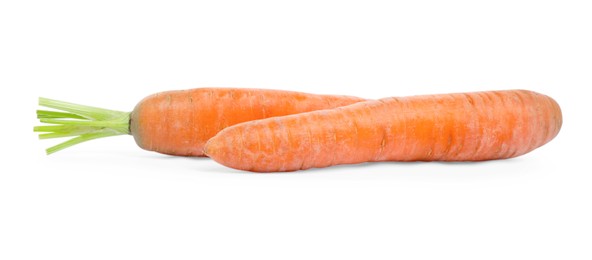 Fresh ripe juicy carrots isolated on white