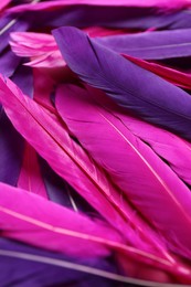 Many different bright feathers as background, closeup
