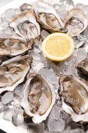Delicious fresh raw oysters with lemon on ice, closeup