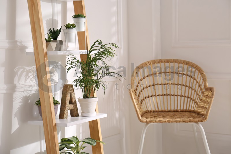 Elegant decorative ladder with houseplants and chair in light room
