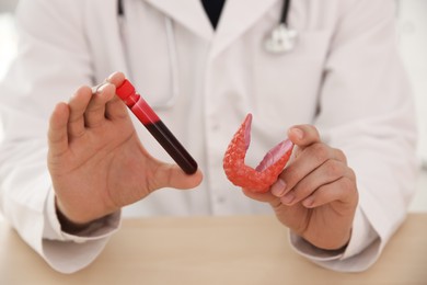 Doctor holding plastic model of thyroid and test tube with blood sample at wooden table, closeup