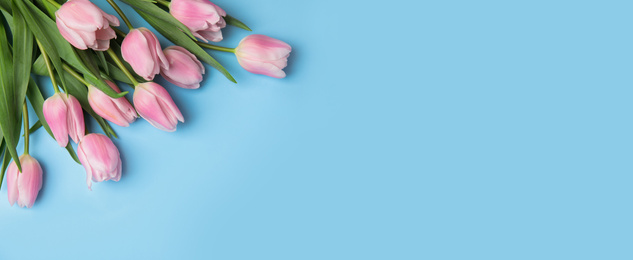 Beautiful pink spring tulips on light blue background, flat lay. Horizontal banner design