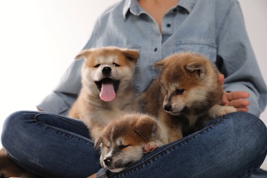 Woman with Akita Inu puppies sitting against light background, closeup