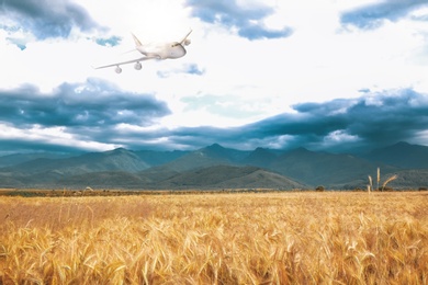 Airplane flying in cloudy sky over wheat field near mountains