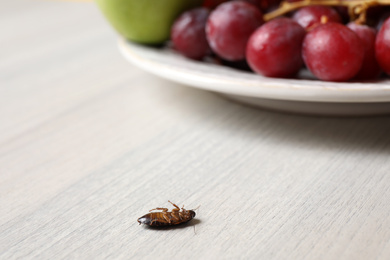 Dead cockroach on wooden table indoors, space for text. Pest control