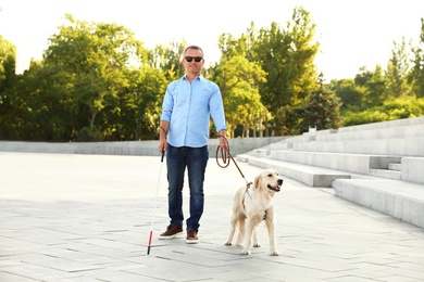 Mature blind person with white walking cane and guide dog near stone stairs