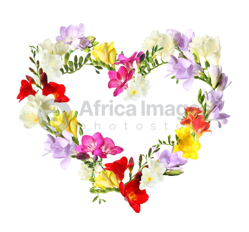 Beautiful heart shaped composition made with tender freesia flowers on white background