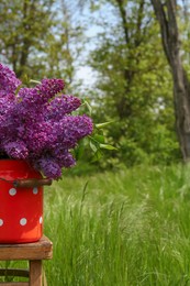 Photo of Beautiful lilac flowers in milk can outdoors. Space for text