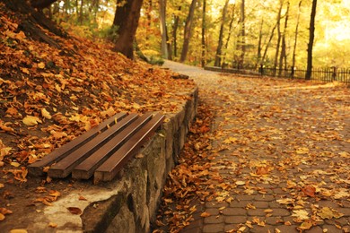 Wooden bench and yellowed leaves in park on sunny day