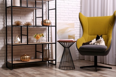 Cute cat in armchair near shelving at home. Interior design
