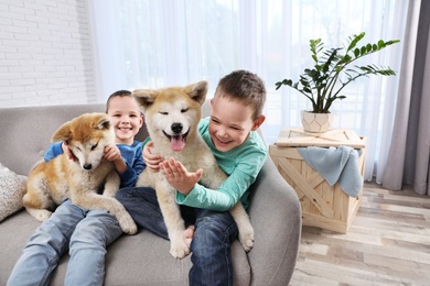 Happy boys with Akita Inu dogs on sofa in living room. Little friends