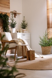 Beautiful room decorated for Christmas with potted firs. Interior design
